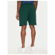 The North Face Ανδρικό σορτς Box NSE Regular Shorts